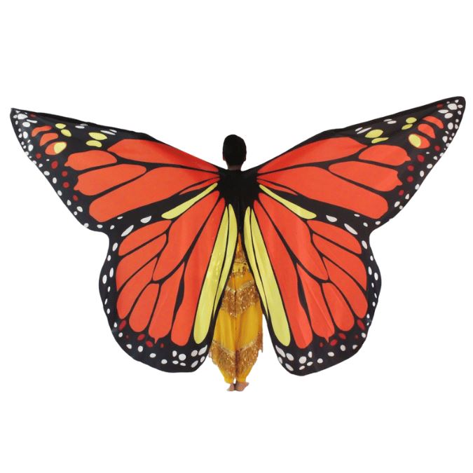 Set of Orange Butterfly Wings, for dancing