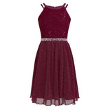 Pink Sleeveless Lace Dress for Girls