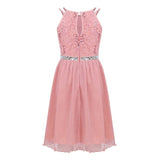 Pink Sleeveless Lace Dress for Girls
